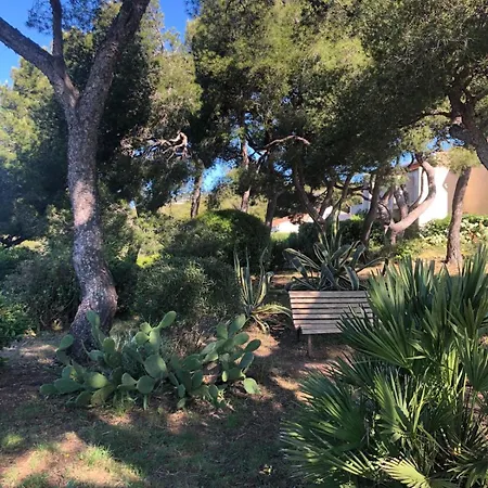 Bright Apartment, 5-minute Walk To Apartment *