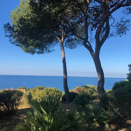 Apartamento Bright Apartment, 5-minute Walk To Hyères